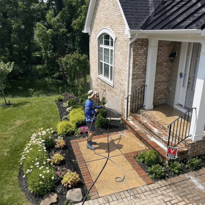 House Washing Studs With Suds