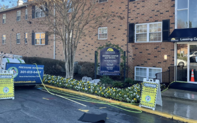 Why Spring Is the Ideal Time for Professional Pressure Washing