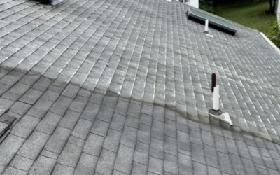 Extend the Life of Your Roof with Annual Roof Cleaning