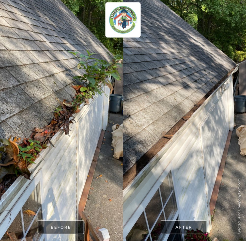 Before and after gutter cleaning in Rockville, Maryland, showing leaves and plant growth removed from a gutter.