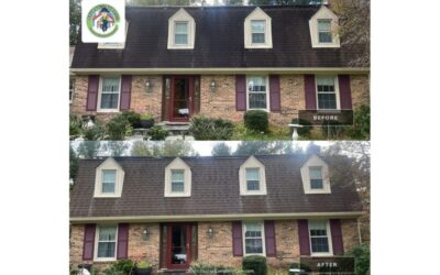 Is It A Good Idea To Have Your Roof Cleaned In Rockville MD?
