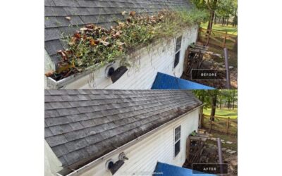 What Happens If I Never Clean My Gutters In Columbia MD?